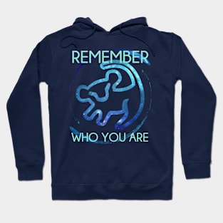 Remember Who You Are Hoodie